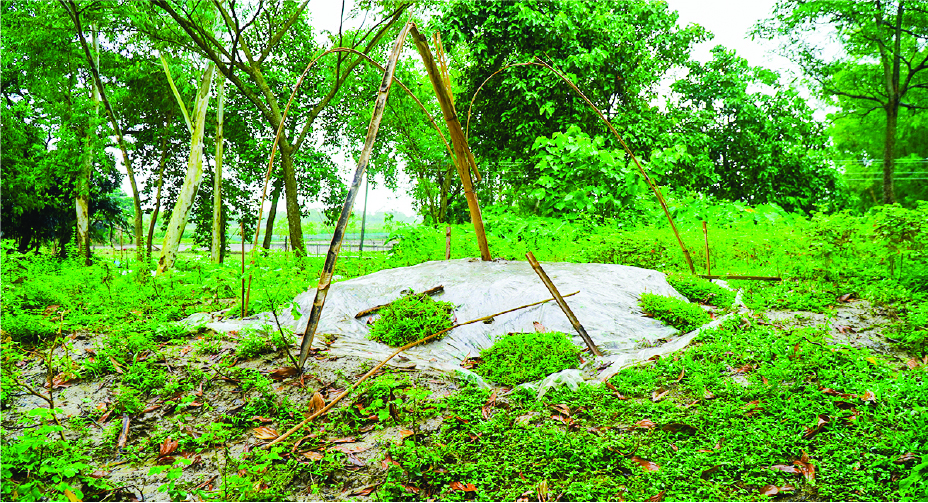 Image of মো: সাদিকুর রহমান